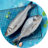 confeção peixe grelhado